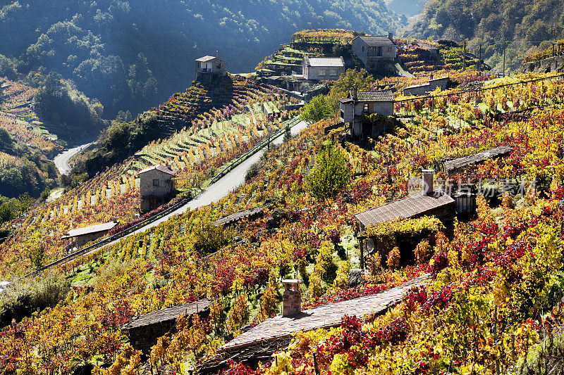 西班牙加利西亚(Galicia)的萨卡拉(Ribeira sacra)葡萄园和小酒窖。